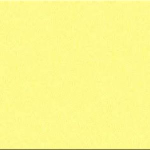 Meet your Posher, Amelia